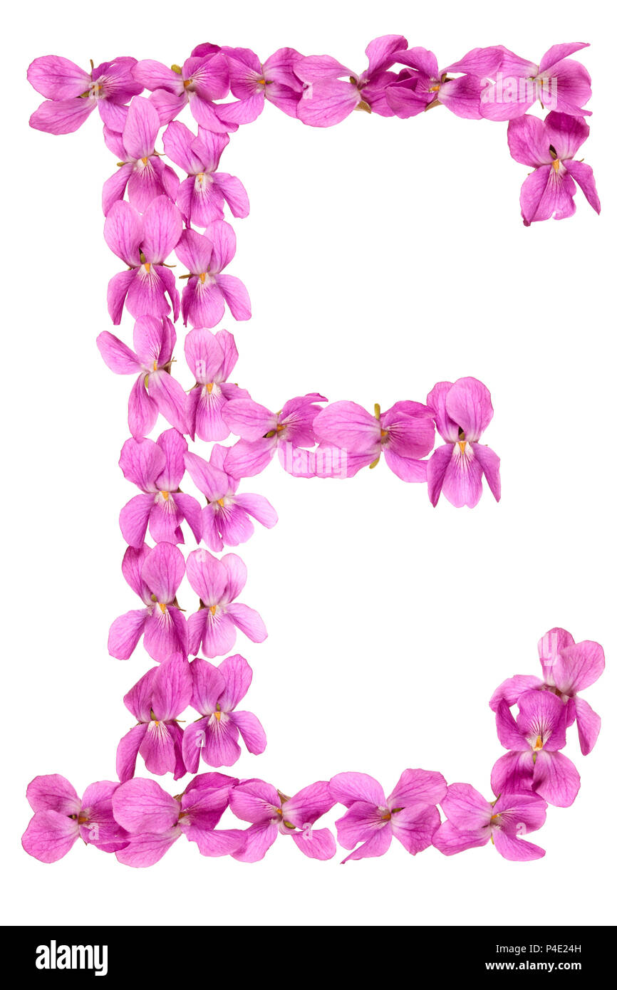 Letter E Flowers Hi Res Stock Photography And Image