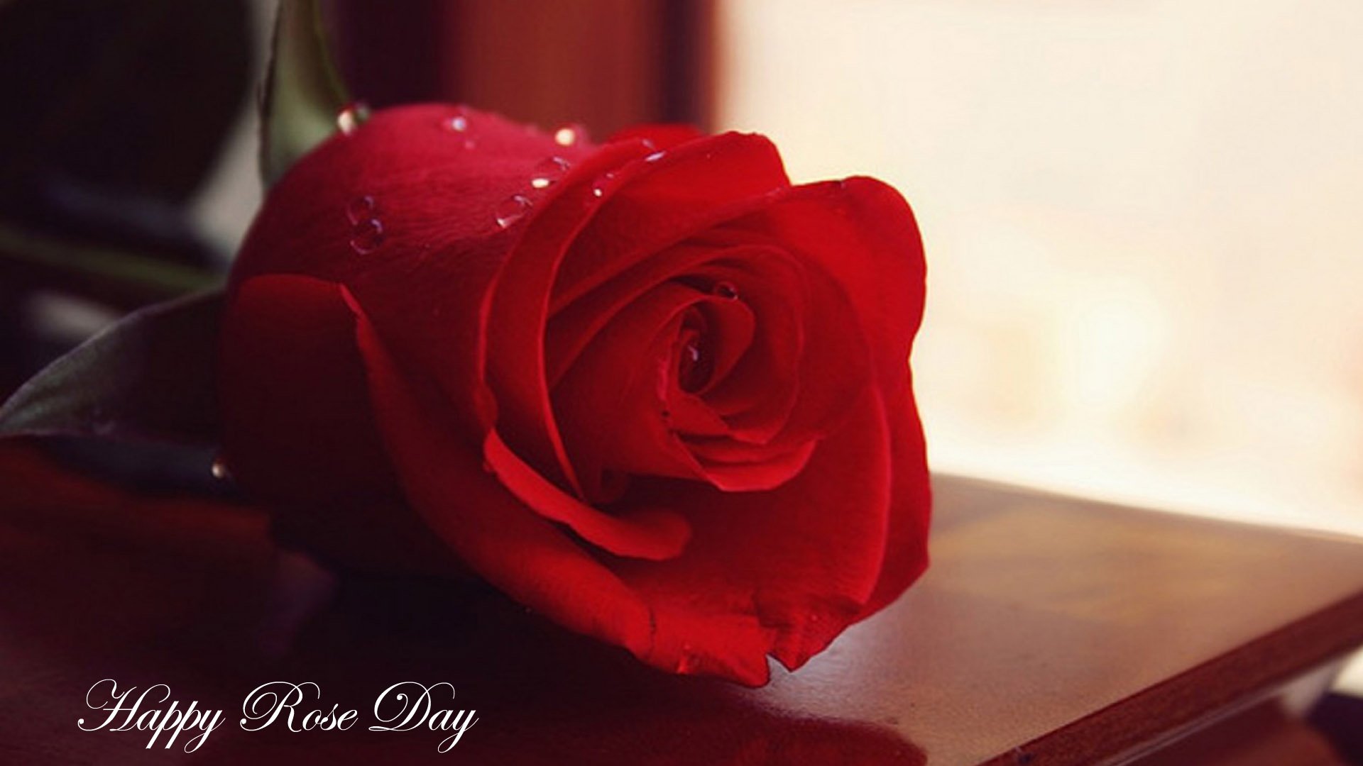 Free download Happy Rose Day With Beauytiful Rpse Top Wallpapers HD  [1920x1080] for your Desktop, Mobile & Tablet | Explore 96+ Happy Rose Day  Wallpapers | Happy B Day Wallpaper, Happy Labor