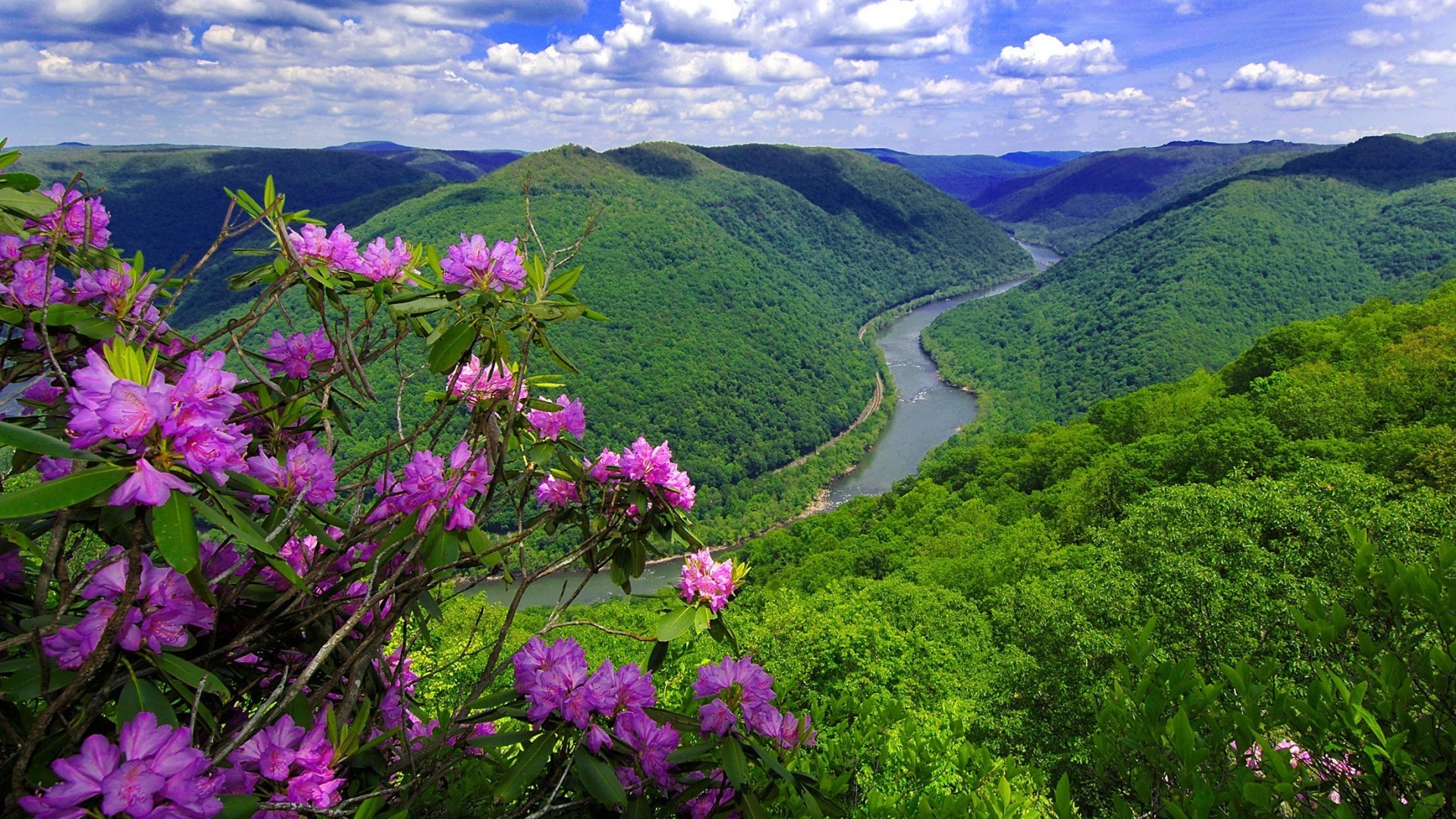 Wallpaper River Flowers Usa Hill Spring West Virginia Gorge