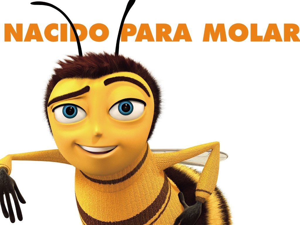 Bee Movie Fondos De Pantalla Cine En Stilo Es