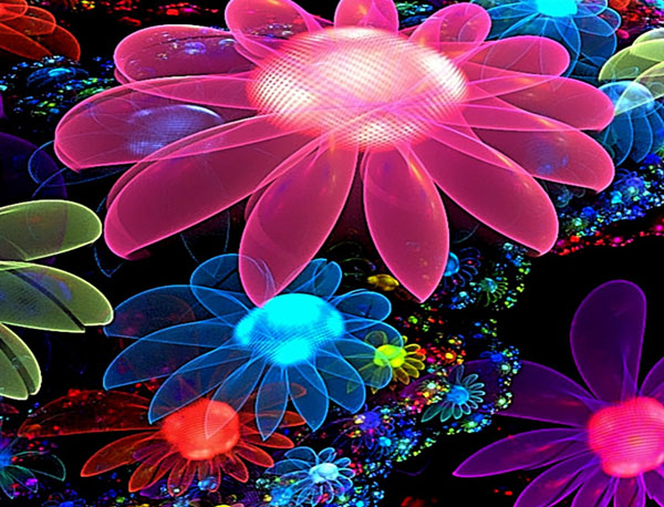 Flower Design Colorful Background Wallpaper