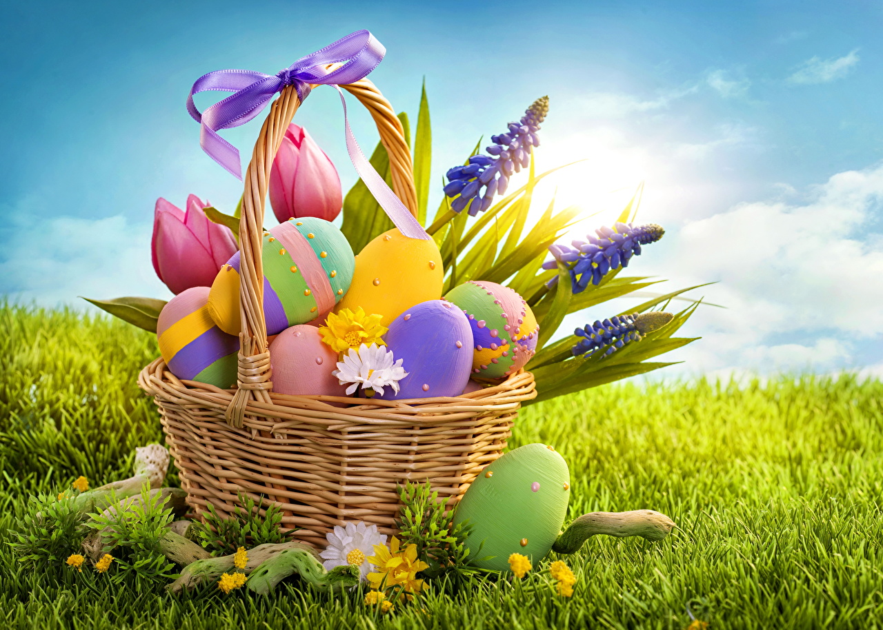 Desktop Wallpaper Easter Eggs Tulips Lupinus Wicker Basket Grass