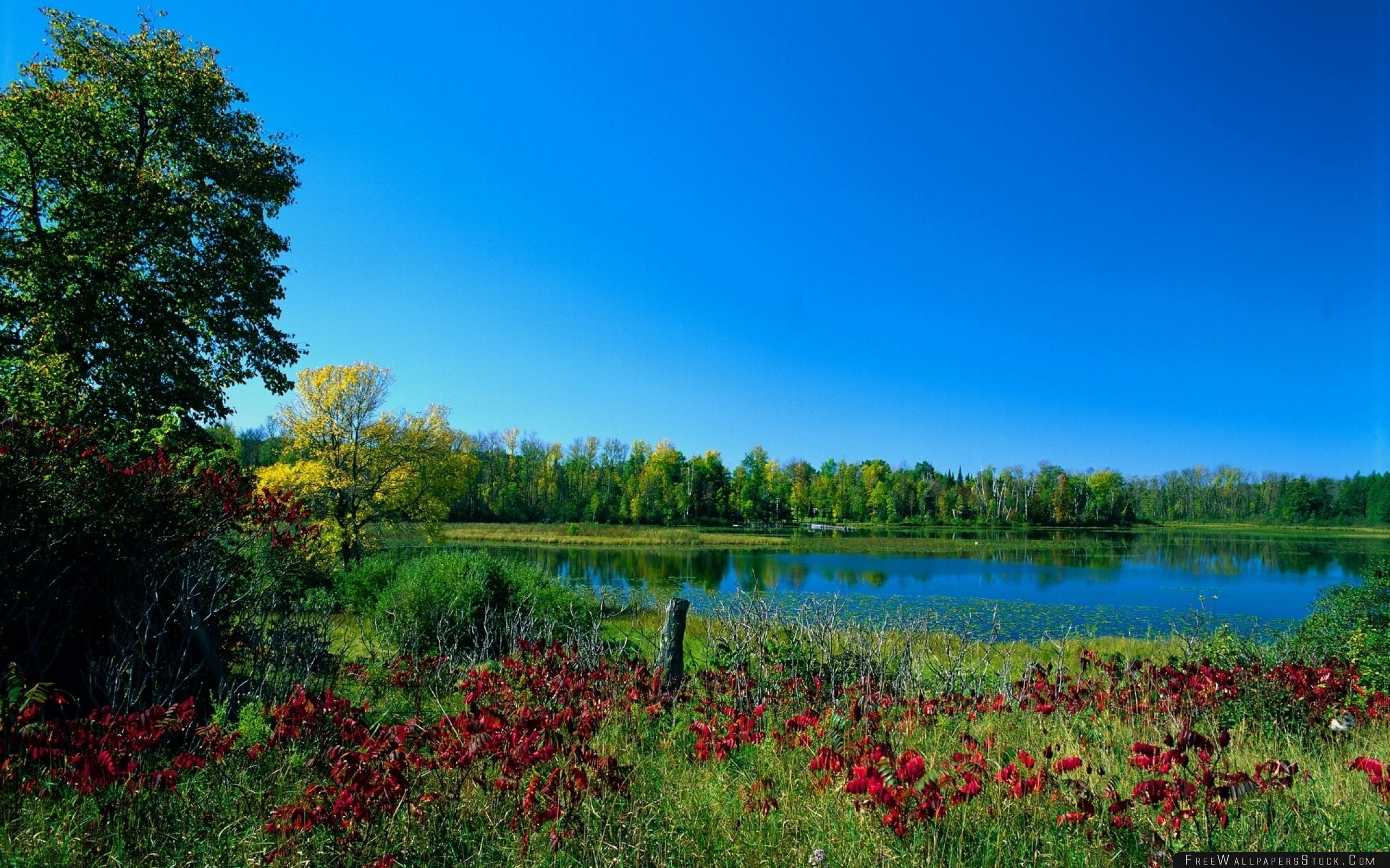 Early Fall Desktop Wallpaper