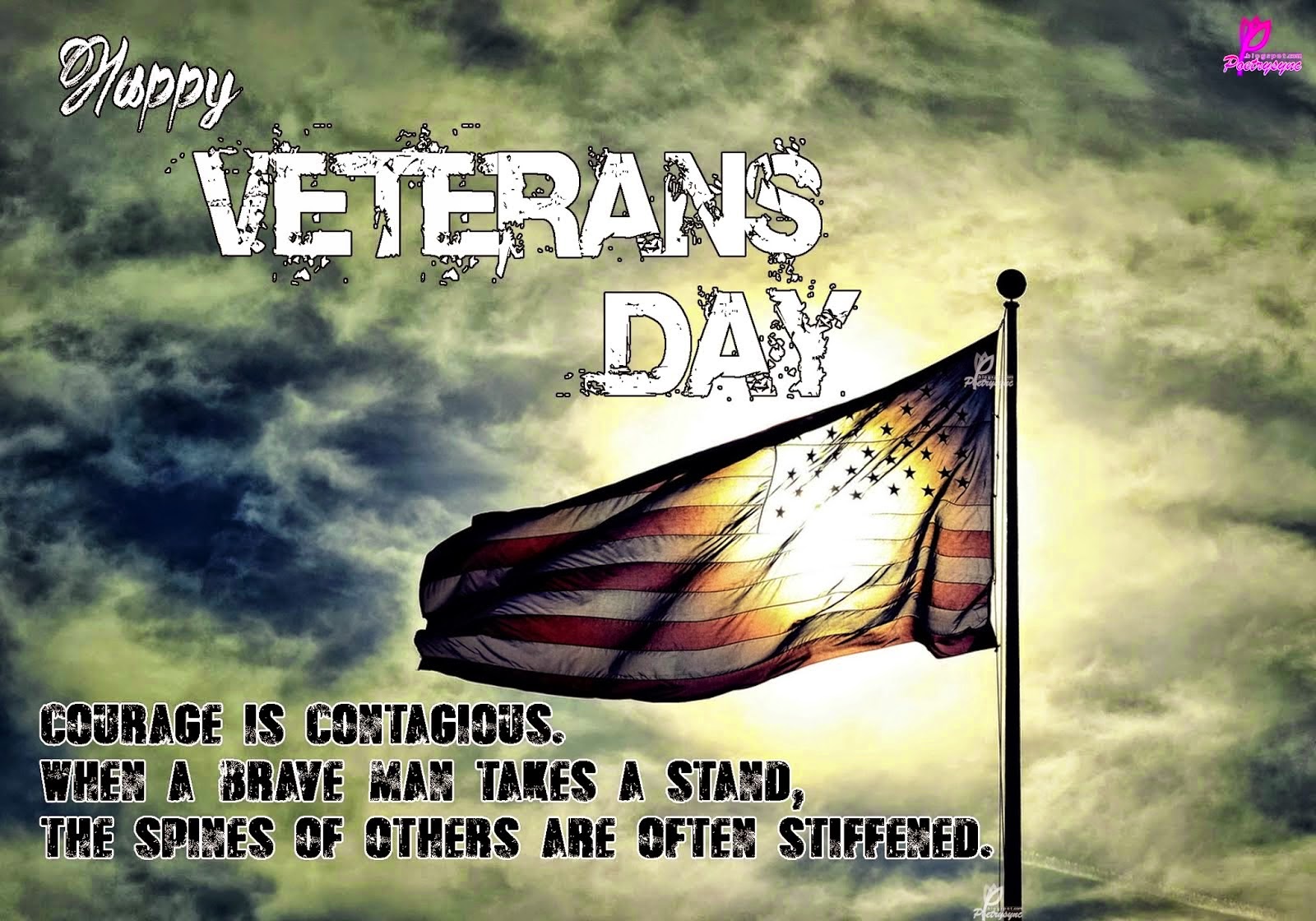 Veterans Day Pictures Photos Wallpaper