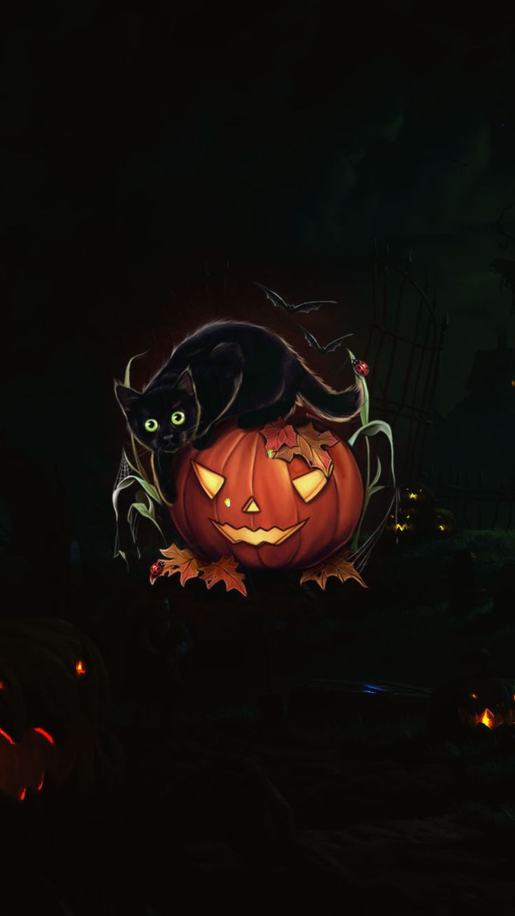 Carved Pumpkin And Evil Black Cat Halloween iPhone Wallpaper