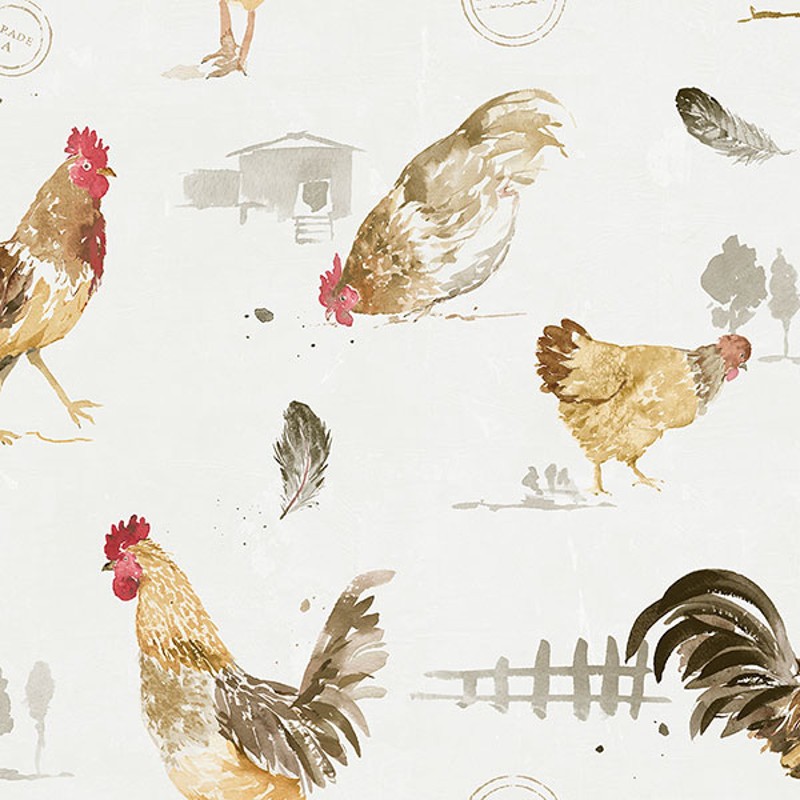 Funny chicken HD wallpaper  Pxfuel