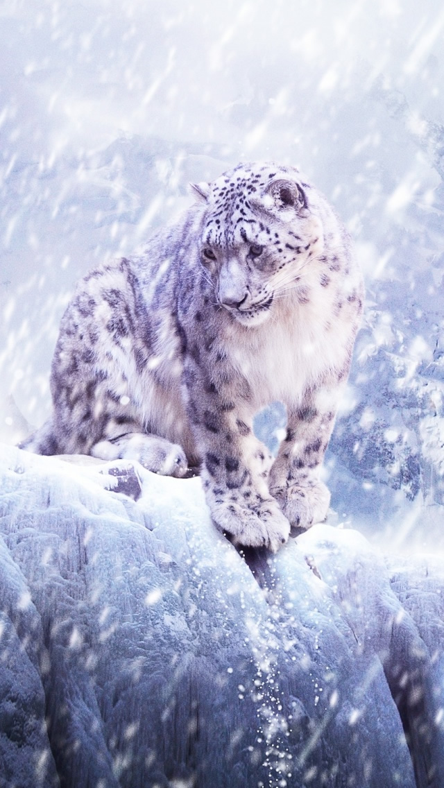 Snow Leopard Hunting iPhone Wallpaper