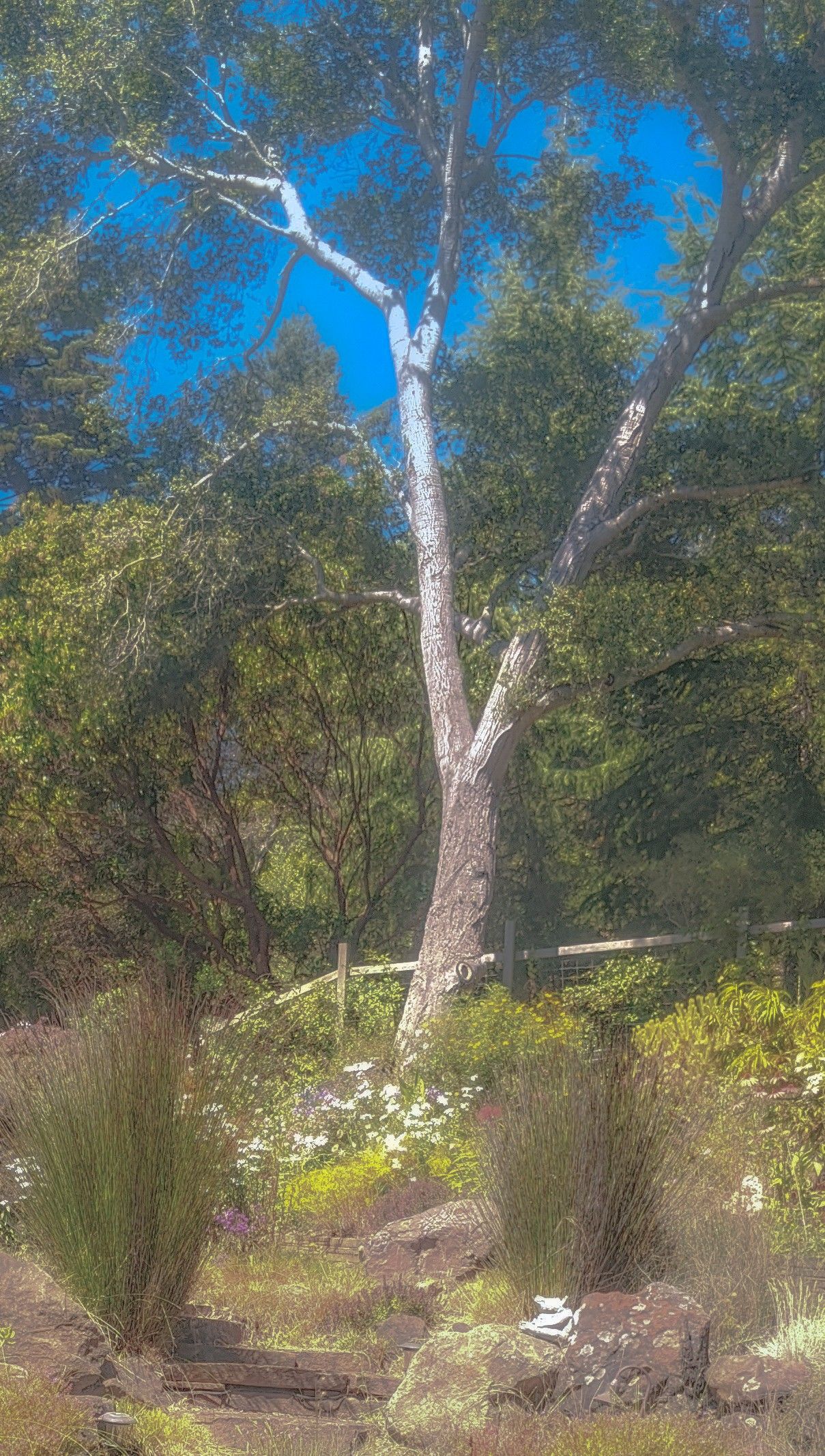 Cottagecore Wallpaper