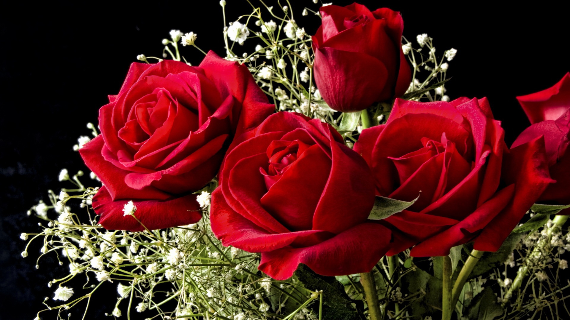 Beautiful Rose Flowers Wallpaper For Desktop Mightyauto