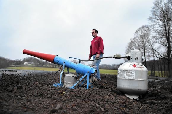 Farm Cannon Disputes Prompt New Legislation Ctnow