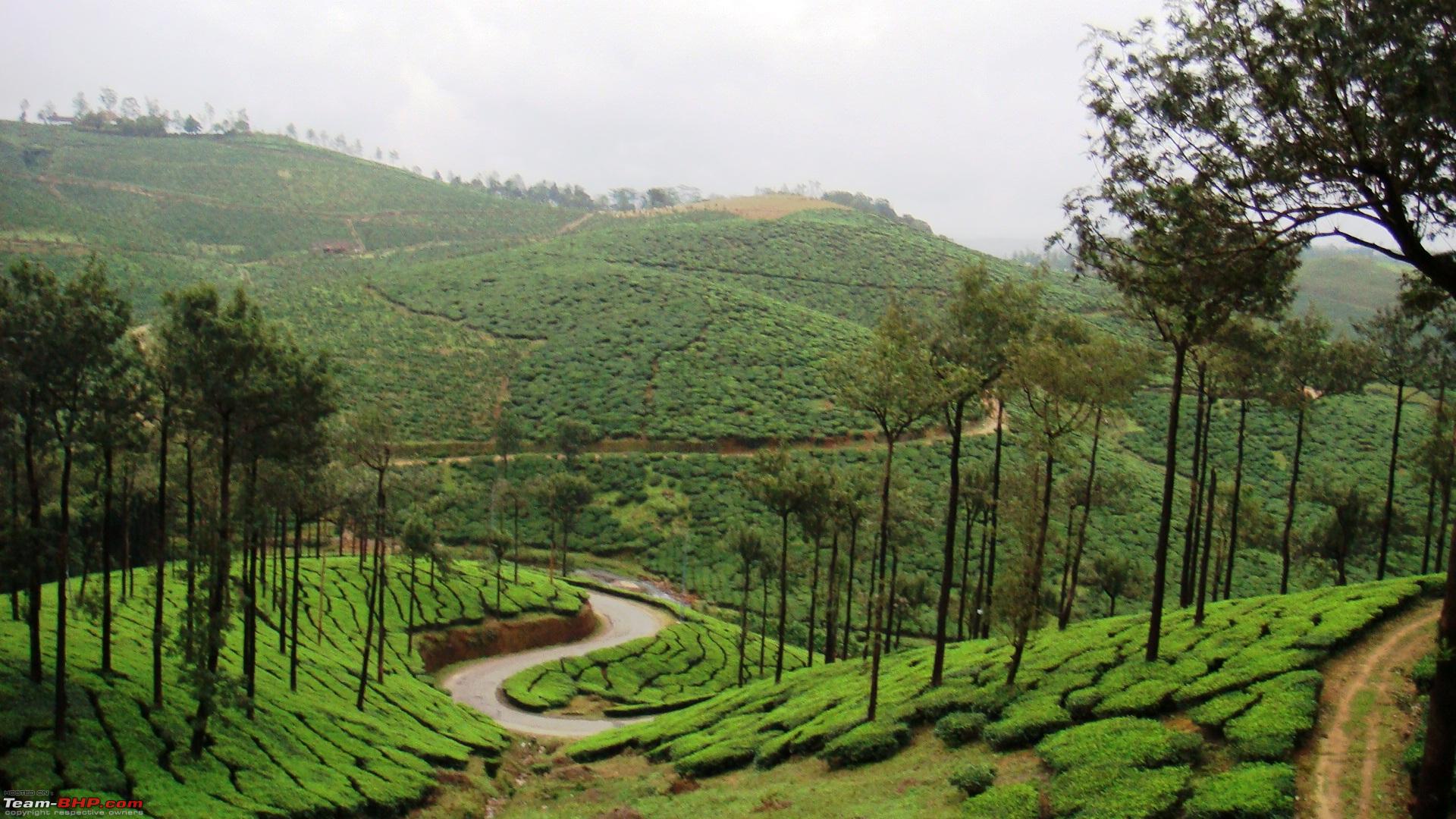 Kerala Background Scenery