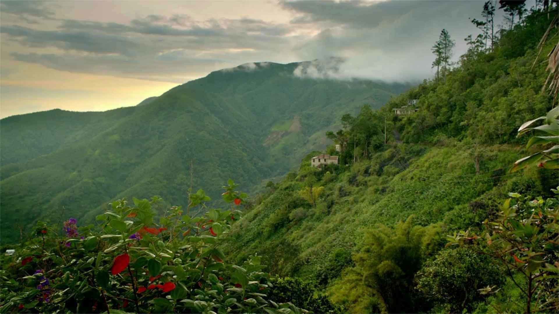 Jamaica Wallpaper