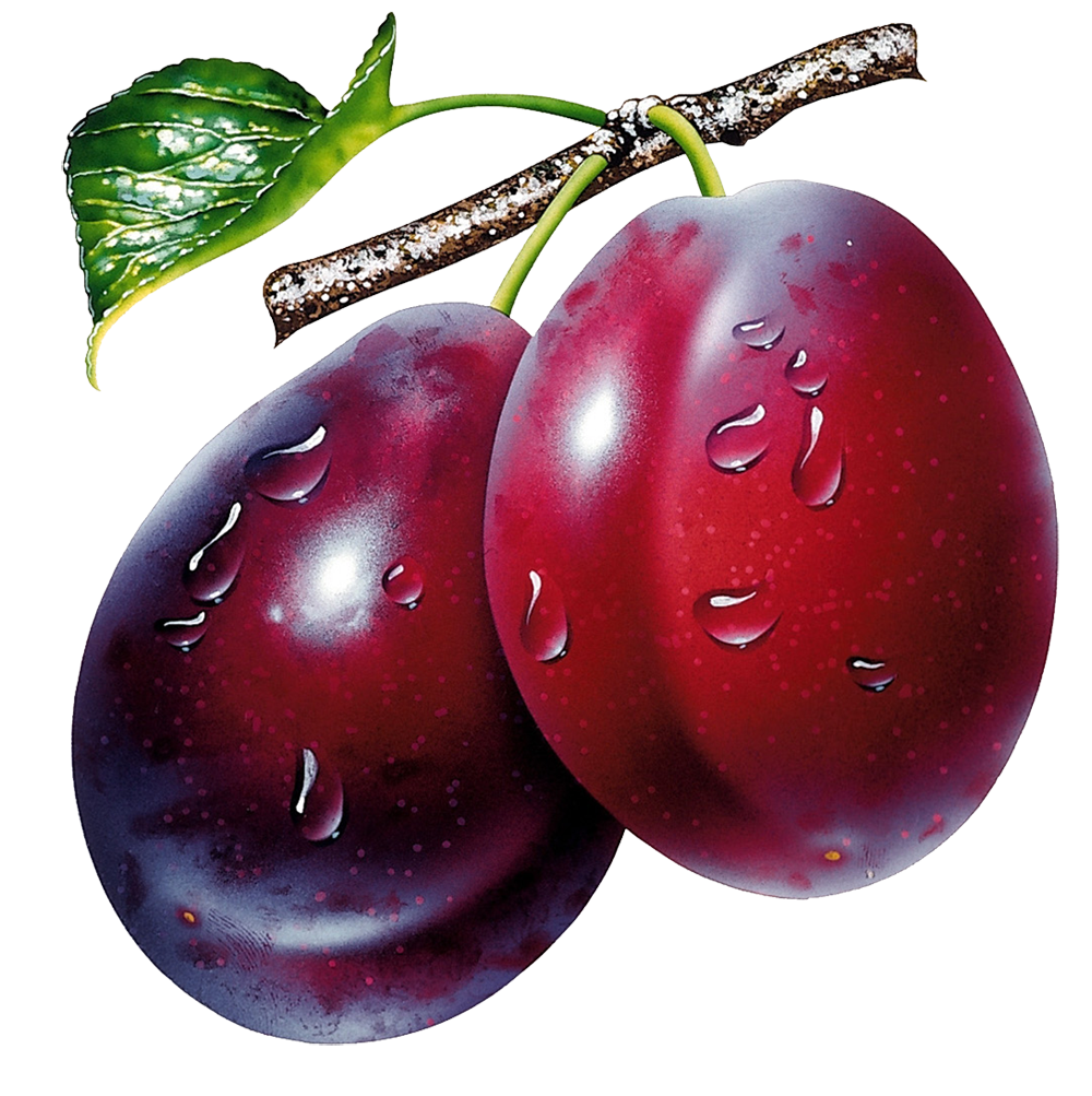 Plum Background Png Picpng