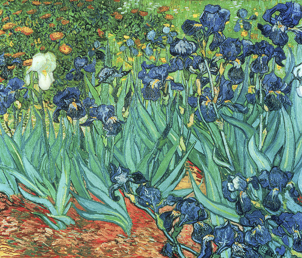 Van Gogh Vincent Irises