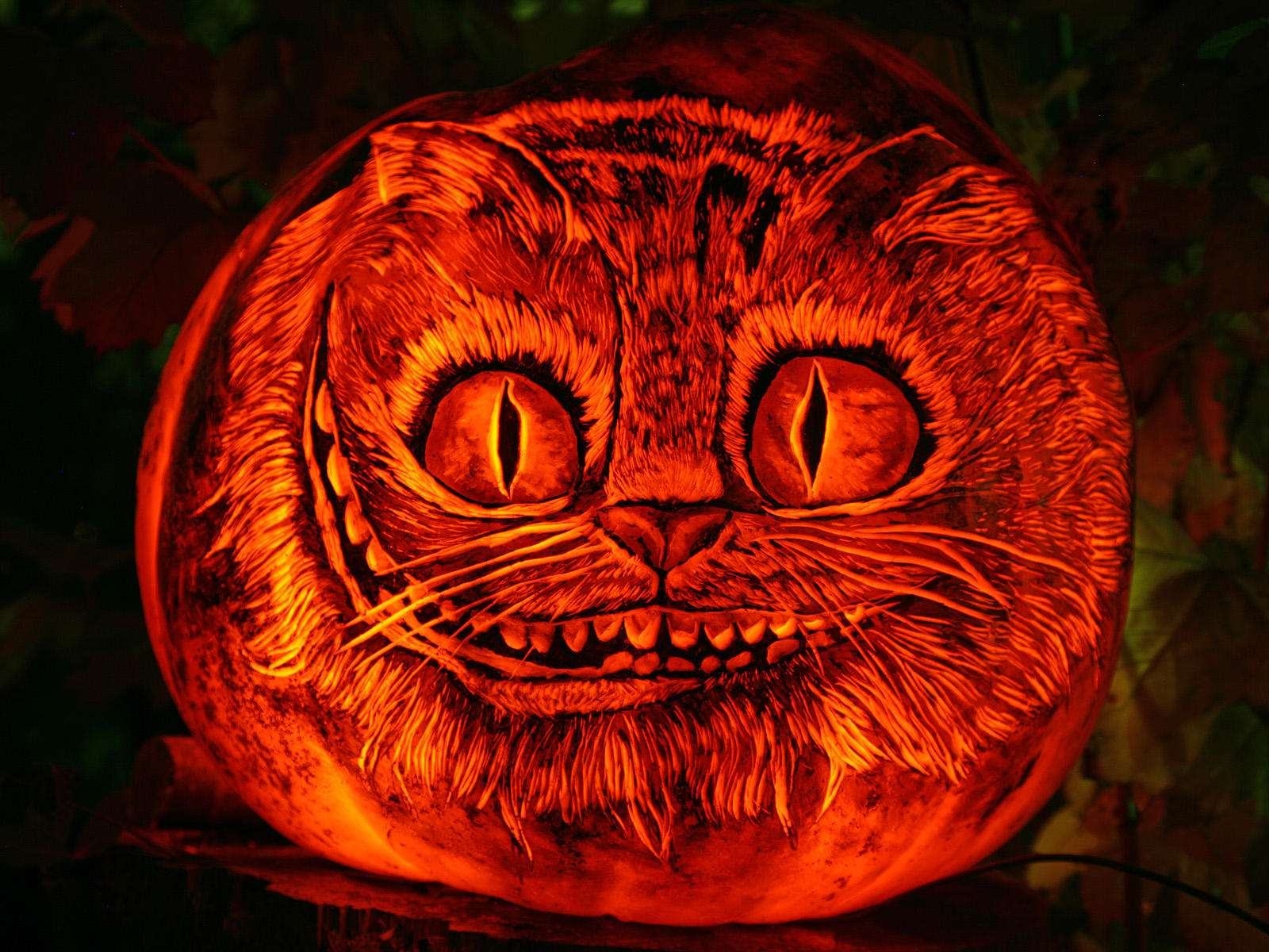 Cat Pumpkin Wallpaper HD Background Cheshire Hos