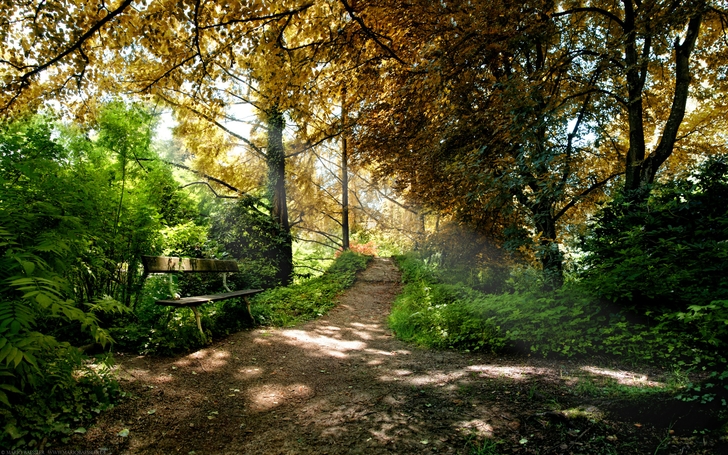 Scenic HDr Photograph High Quality Wallpaper Definition