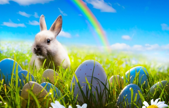 Wallpaper Easter Bunny Rabbit Spring Sunshine Rainbow Blue Sky
