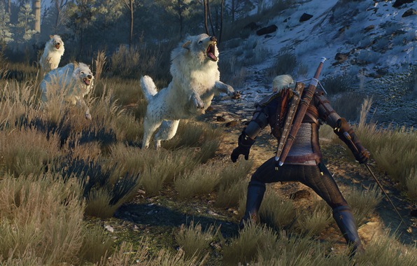 Hunt The Witcher Geralt White Wolf Wolves