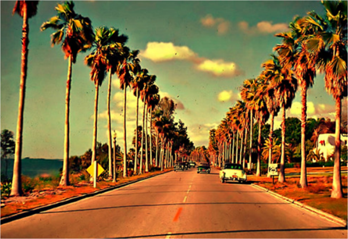 Related Pictures Palm Trees California Dreamin California Sunset HD