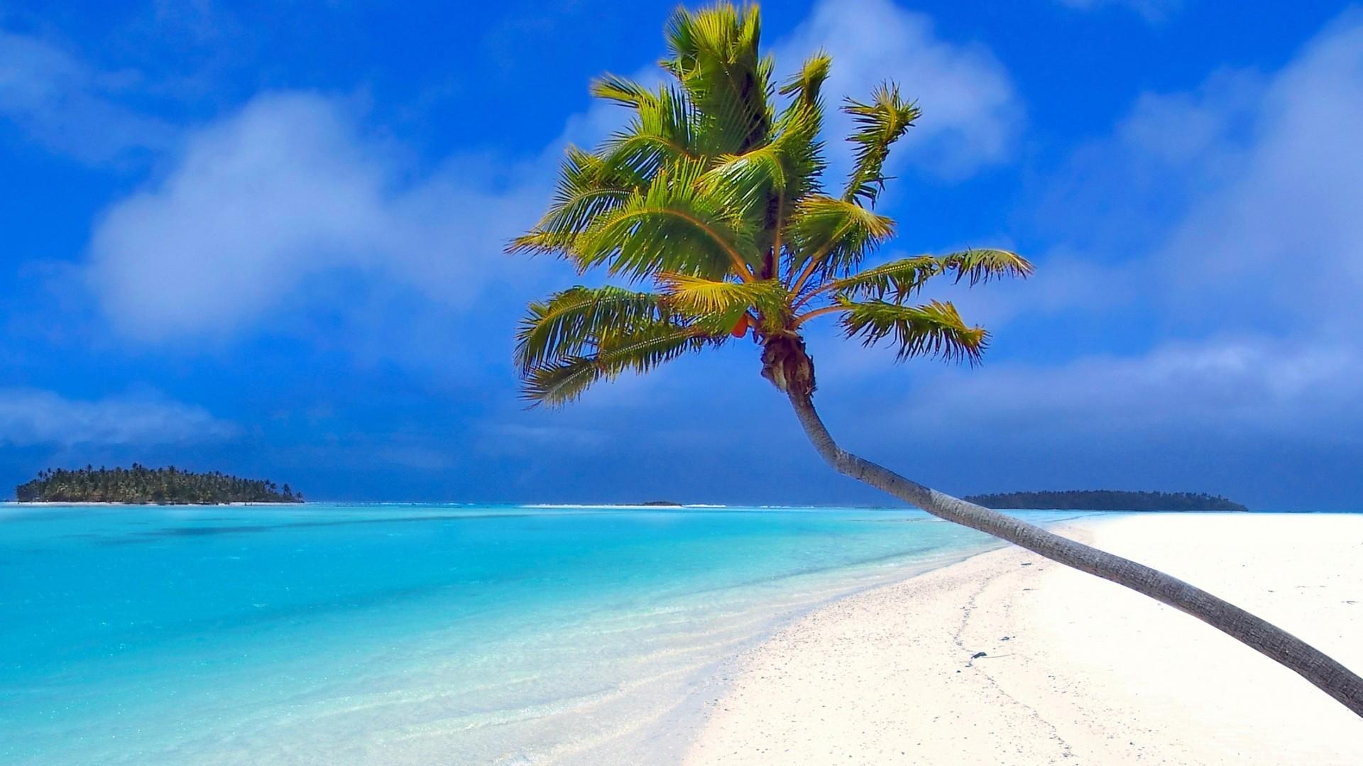 Pre Wallpaper Maldives Beach Palm Trees Sand Sea