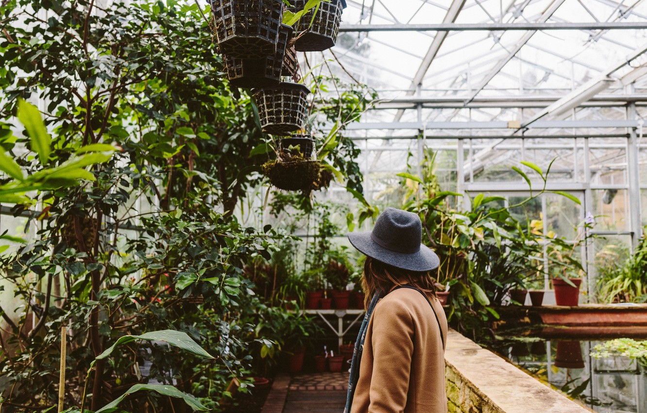 Wallpaper Girl Plants Hat Greenhouse Image For Desktop
