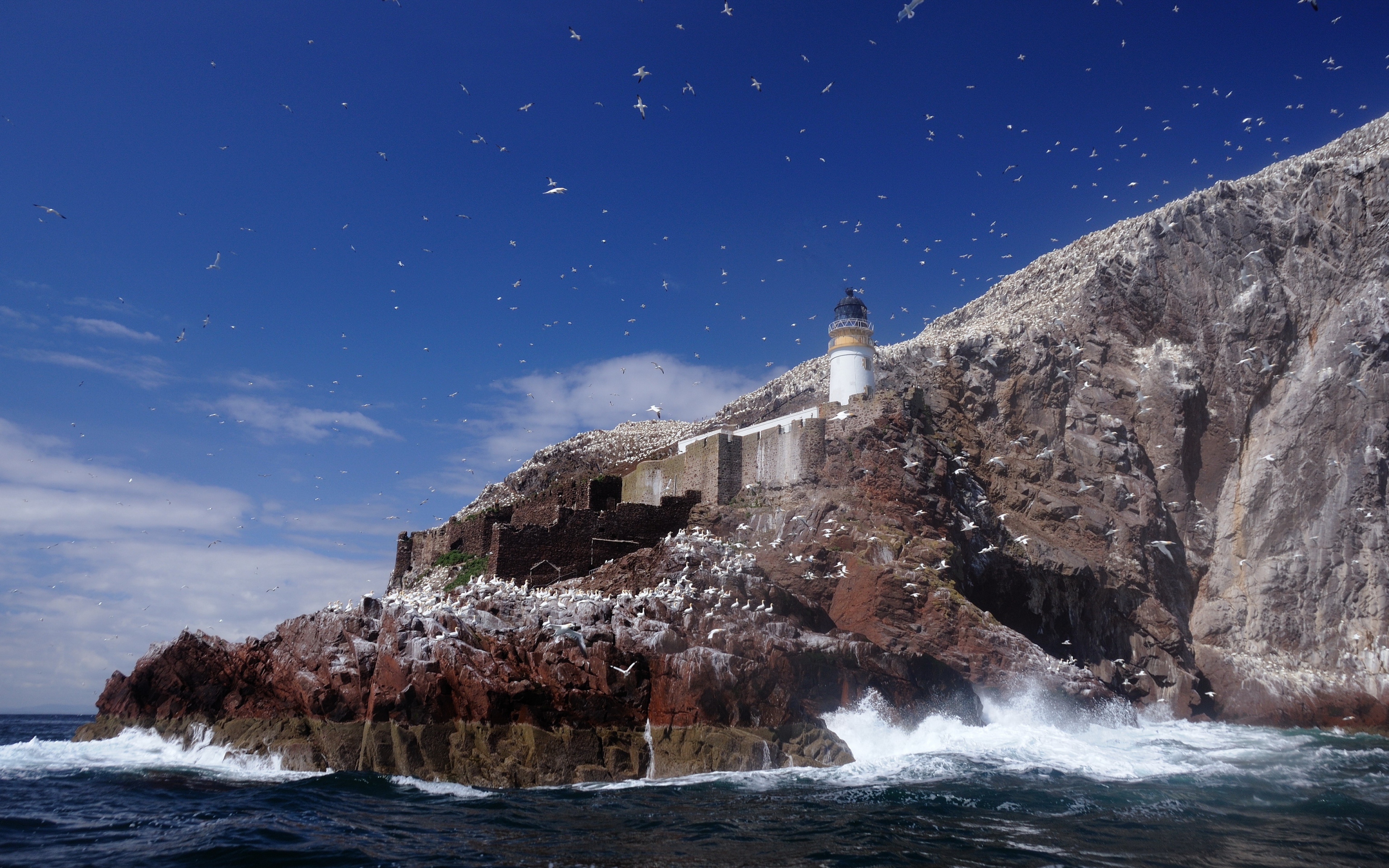 Lighthouse Scotland Seagull Coast North Berwick Rock Wallpaper