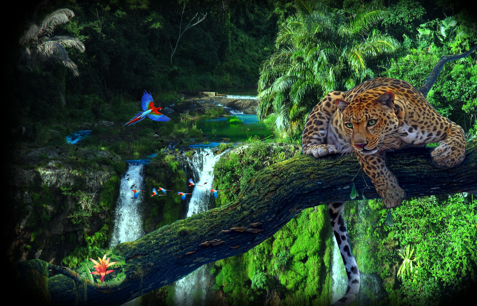 Jungle Wood Leopard Parrots Wallpaper