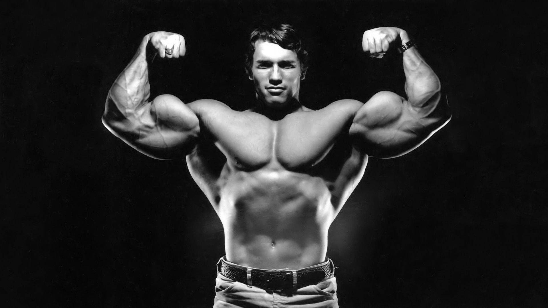 Top Arnold Schwarzenegger Wallpaper Full HD 4k To Use