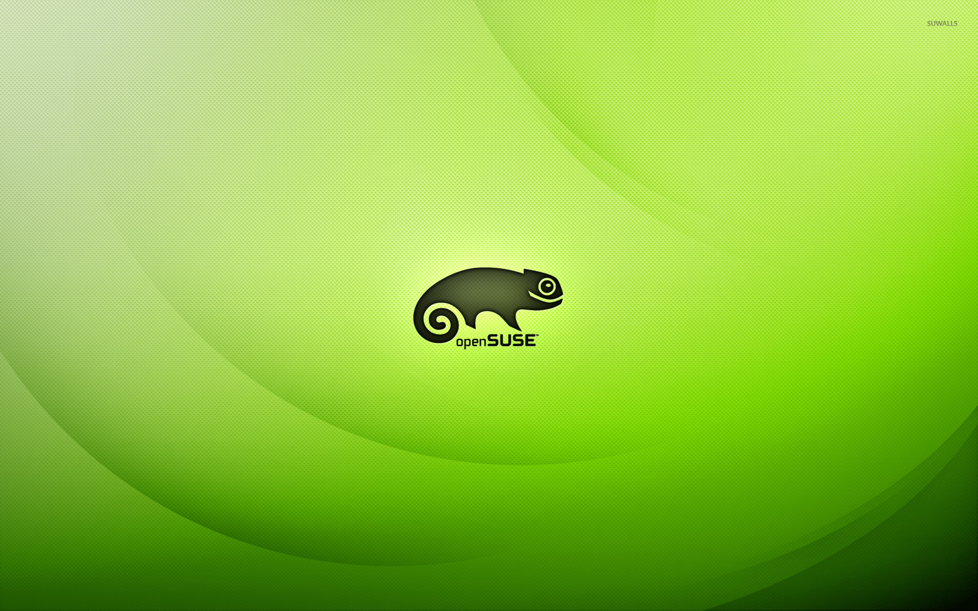 Opensuse Wallpaper Puter