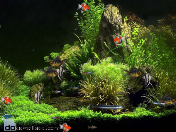 Aquarium Animated Wallpaper Image Highly Realistic Desktop Animation