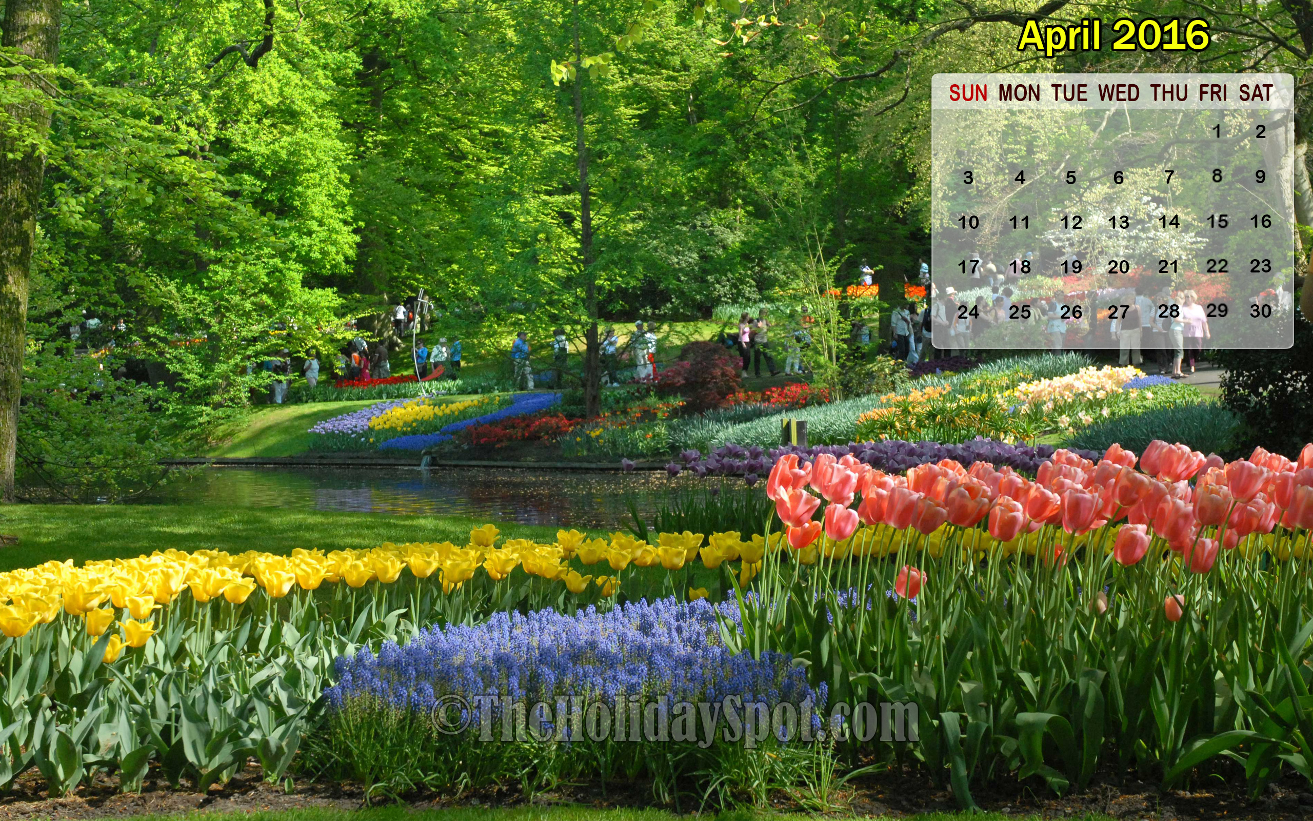 April 2016 Calendar Wallpaper of Tulip flowers 2560x1600