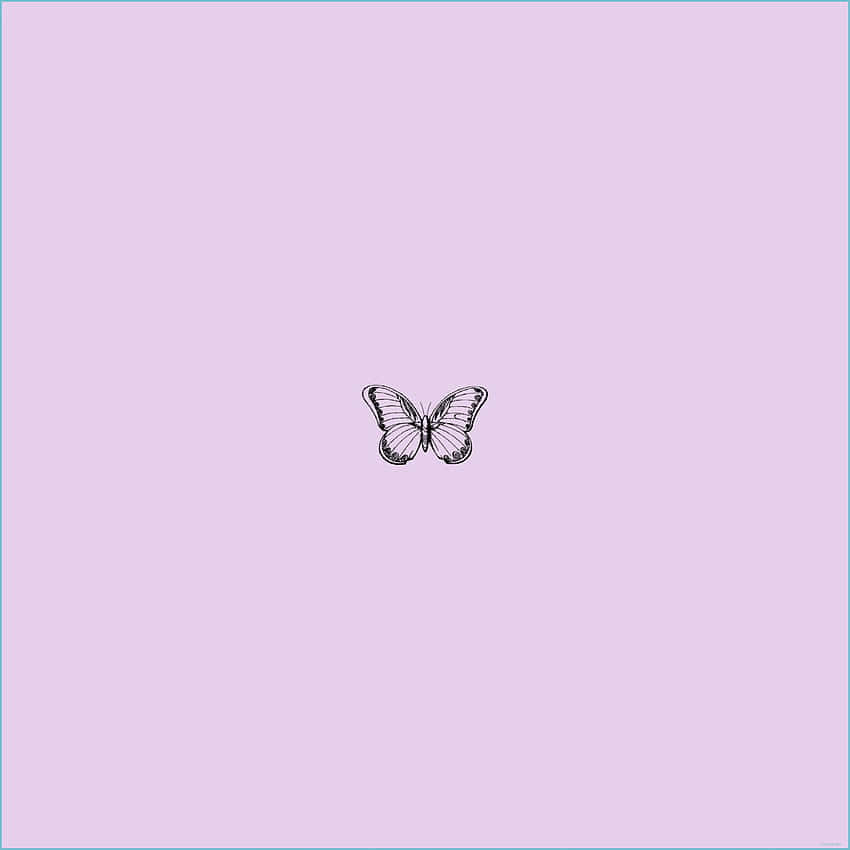 Lilac Color Wallpaper