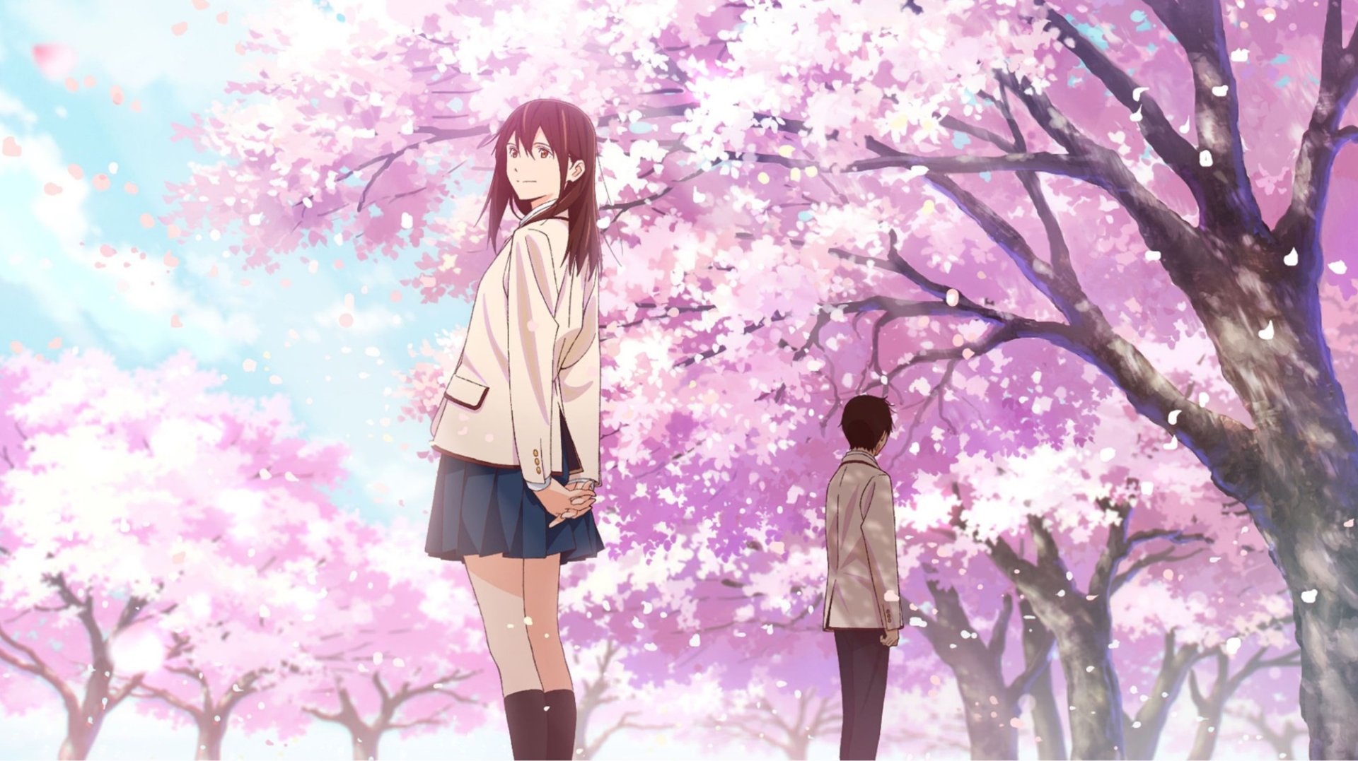 I Want To Eat Your Pancreas HD Wallpaper Background Image