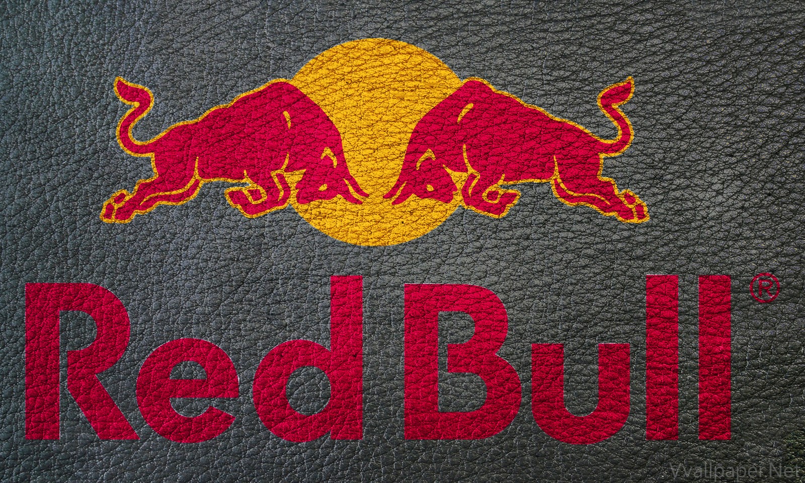 Red Bull HD Logo Wallpaper Desktop