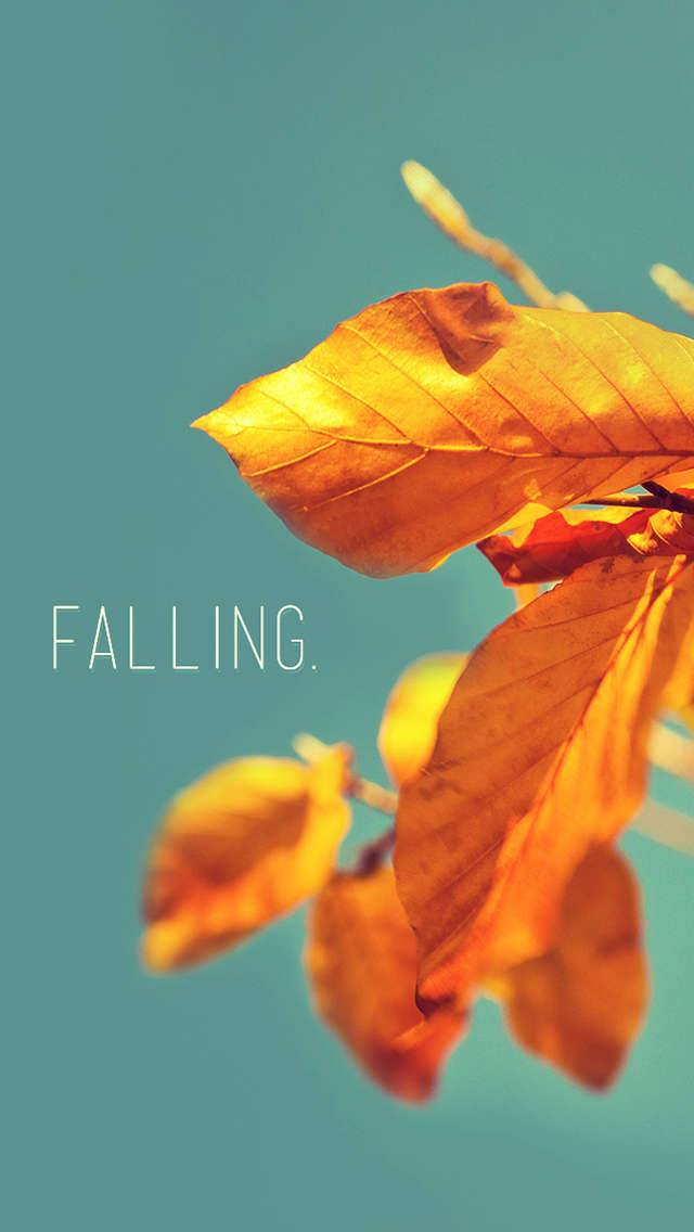 Falling November Wallpaper For iPhone HD Source