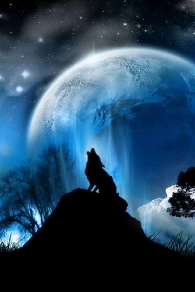 Howling Wolf iPhone Wallpaper HD