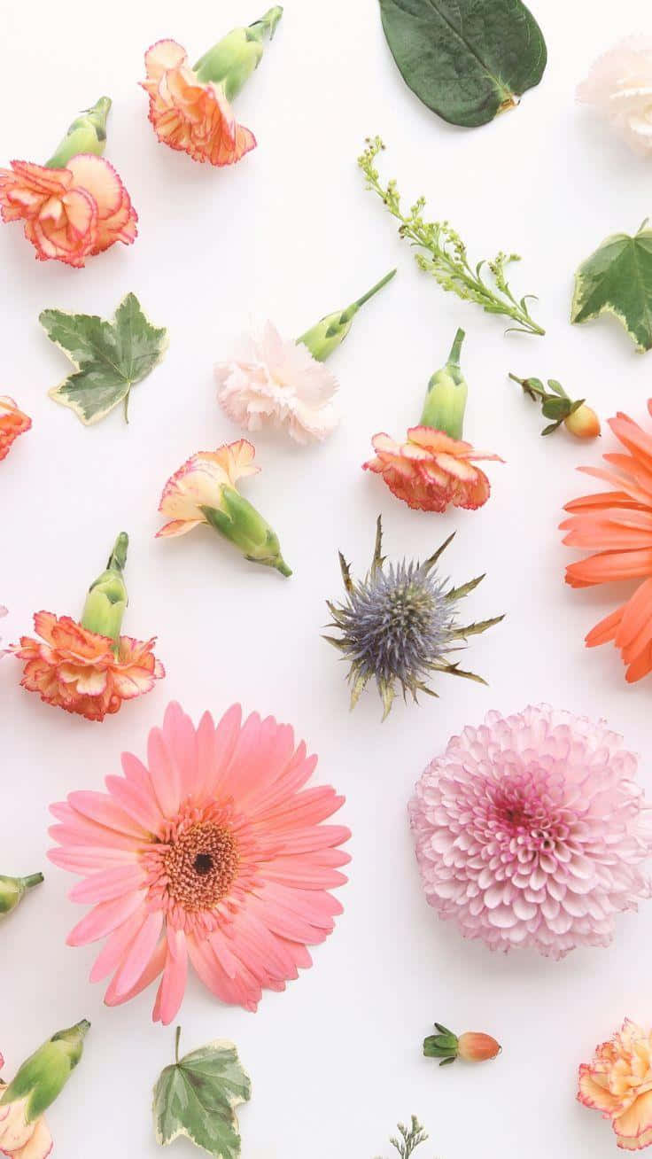 Cute Floral Wallpaper Qfqx8rts01u2hhxr