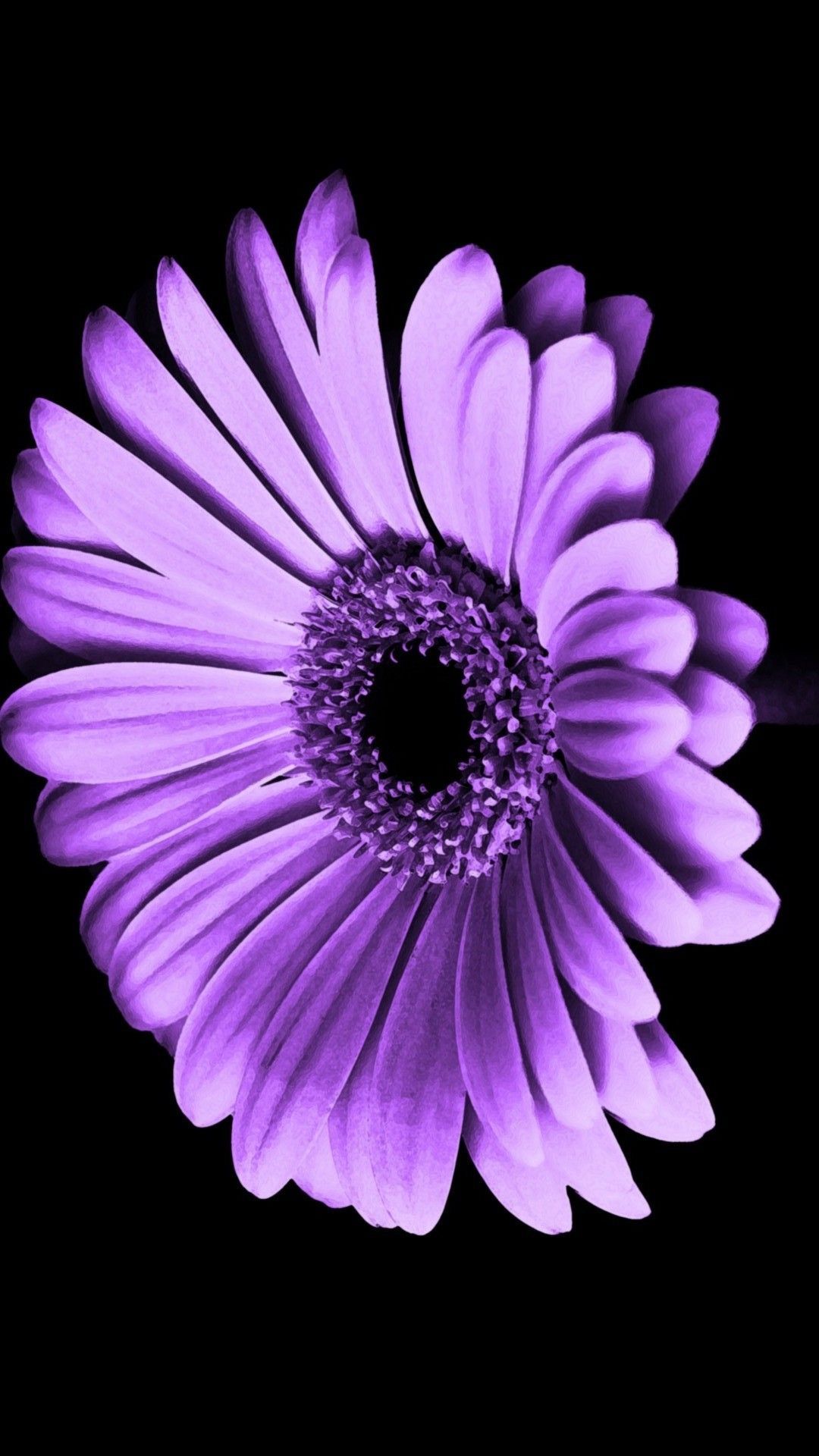 Purple Flower iPhone Wallpaper On