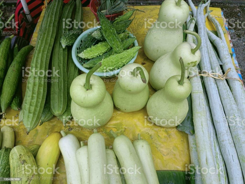 Pile Of Green Bottle Gourd Calabash Close Up Stock Photo