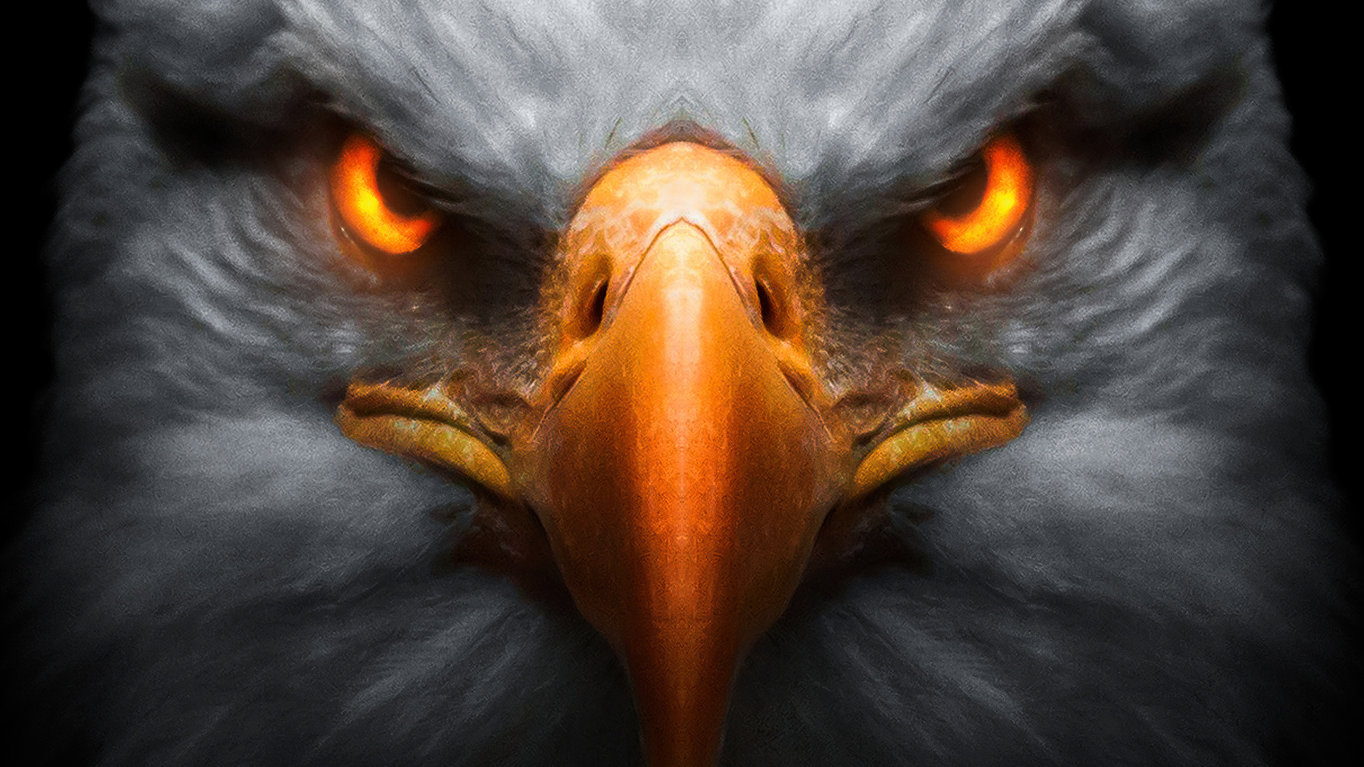 Eagle Red Glowing Eyes Laptop Full HD 1080p 4k Wallpaper Image