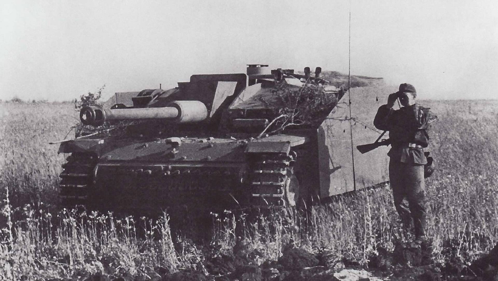 Wehrmacht Artillery Tank Destroyer Wallpaper Hq