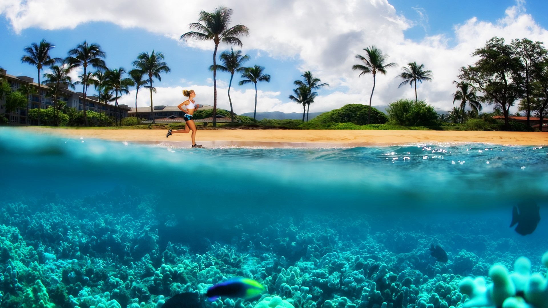 Kanappali Beach Maui Hawaii Desktop Background