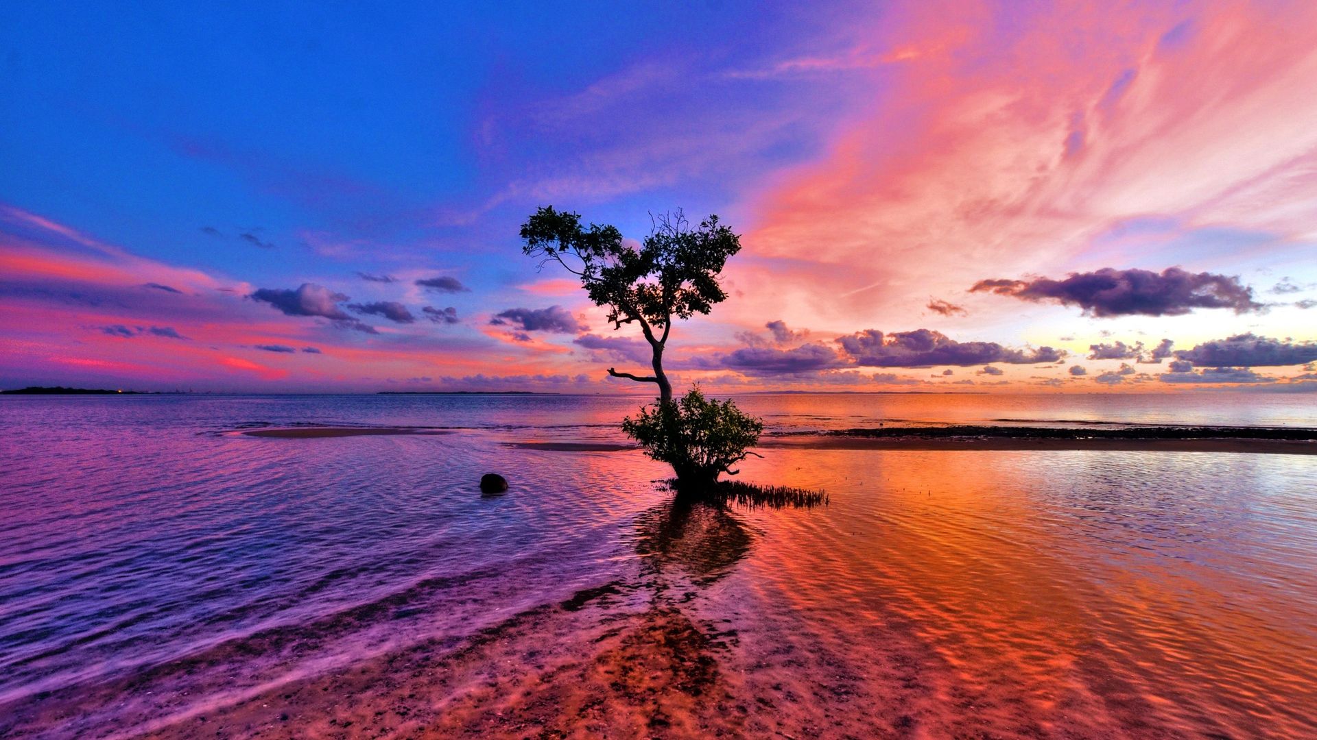Pink Beach 4k Wallpaper Jpg