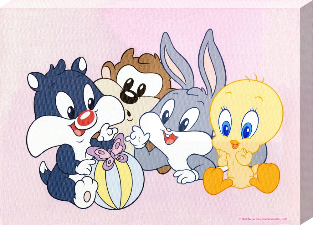 Baby Looney Tunes Wallpapers 1000x719