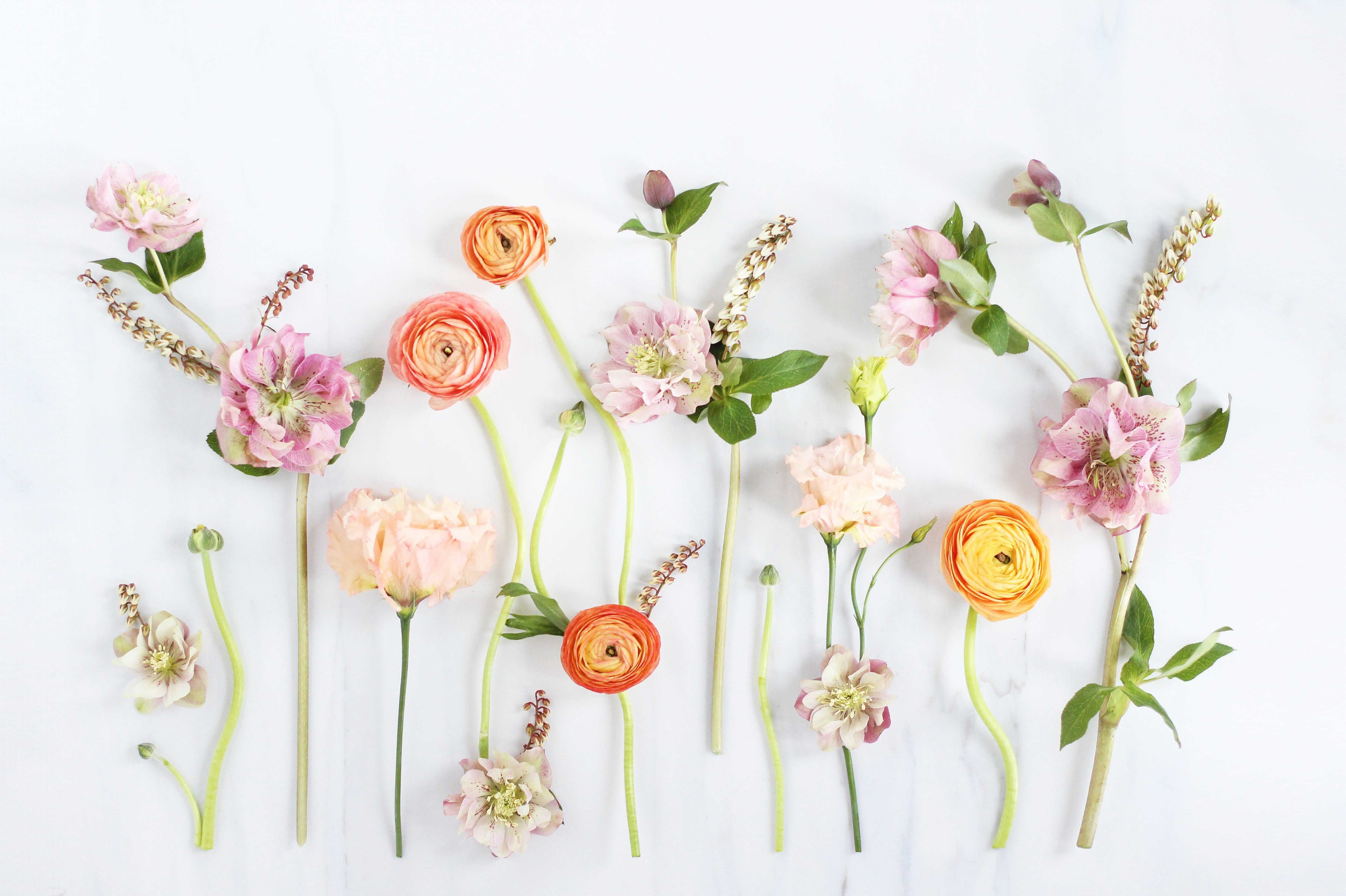 Floral Wallpaper HD