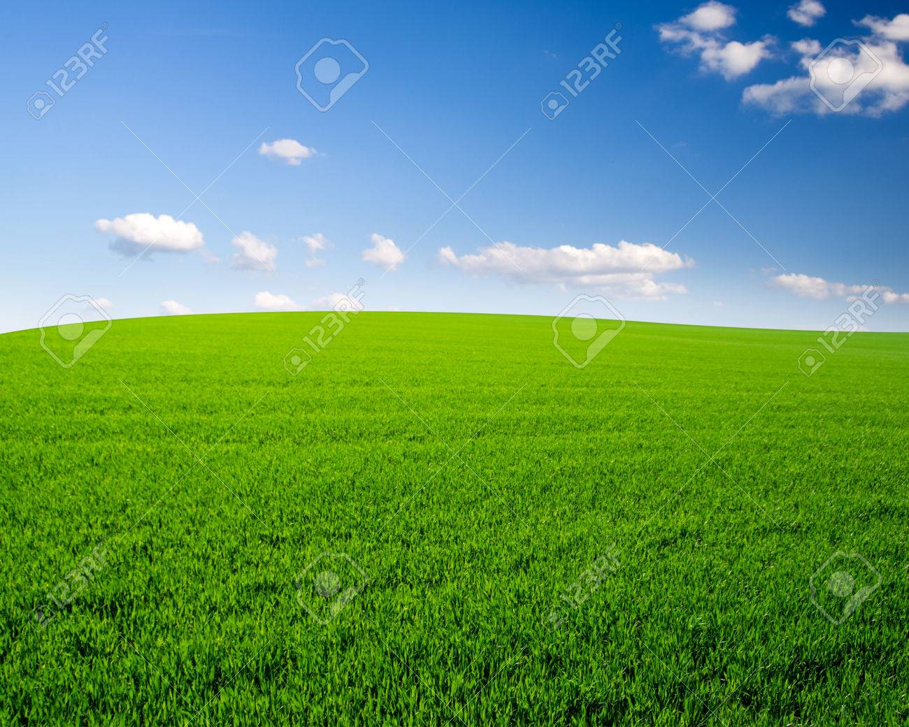 Sky And Grass Field Background Stock Photo Picture Royalty