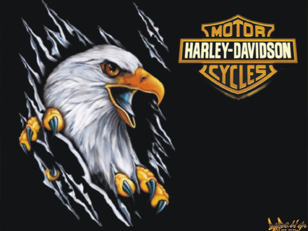 Harley Davidson Eagle Wallpaper HD In Bikes Imageci