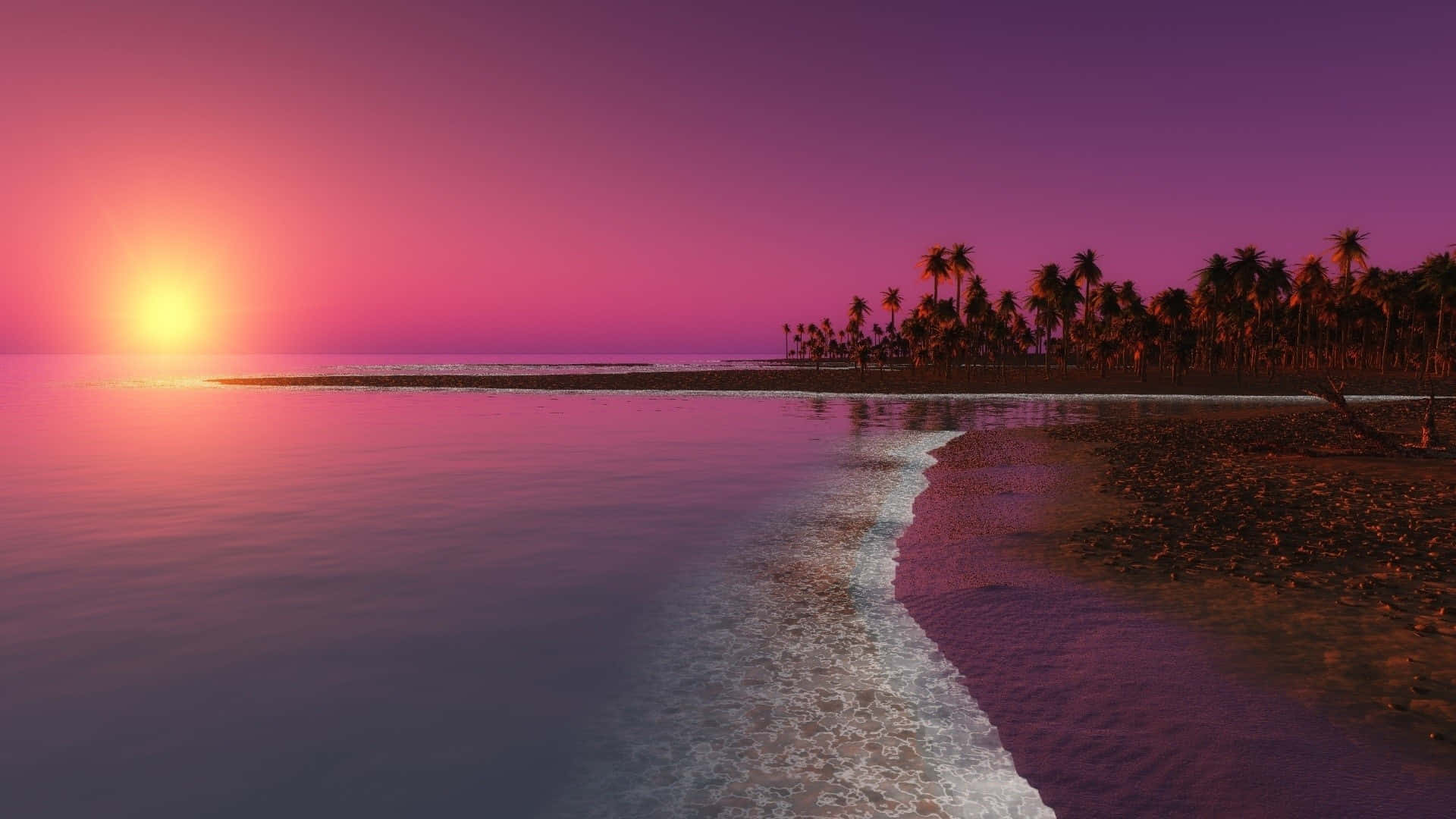 Pink Beach Sunset Wallpaper