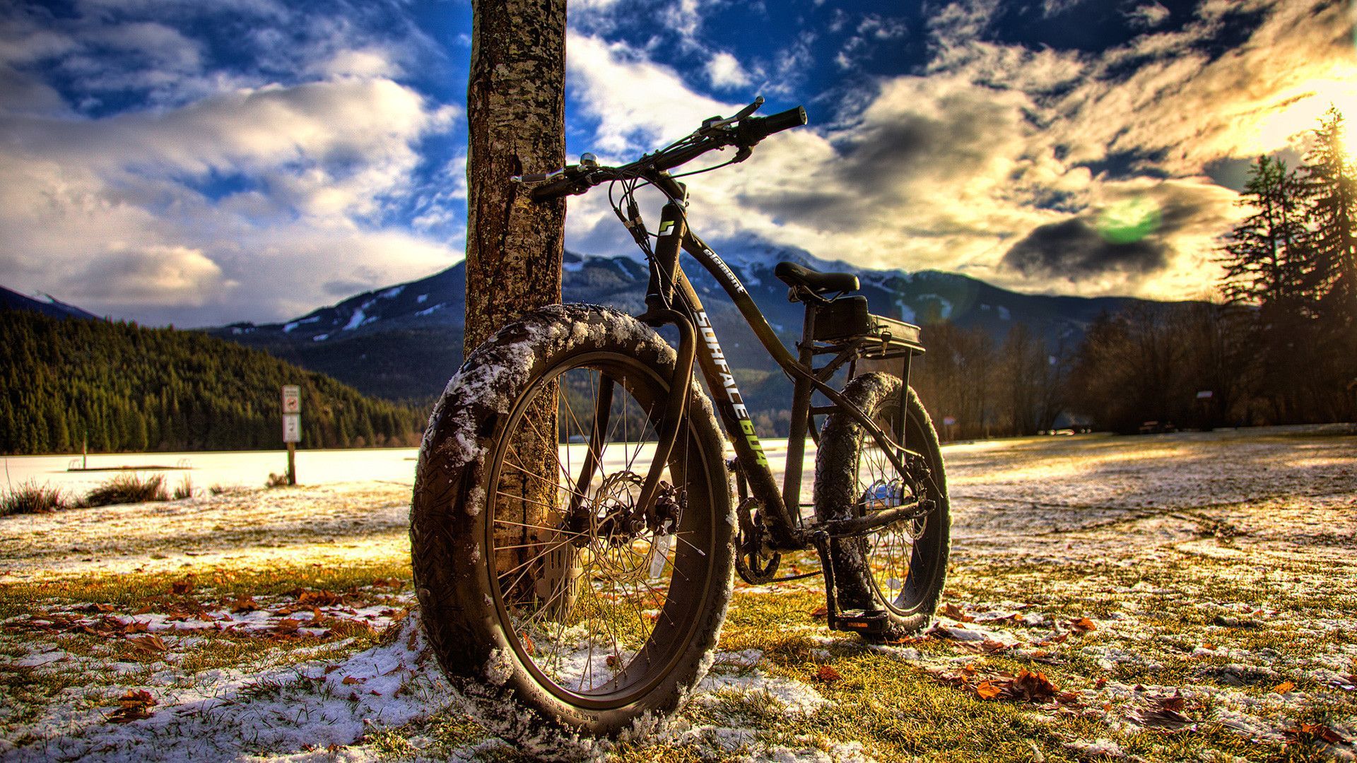 Mountain Bike Wallpaper