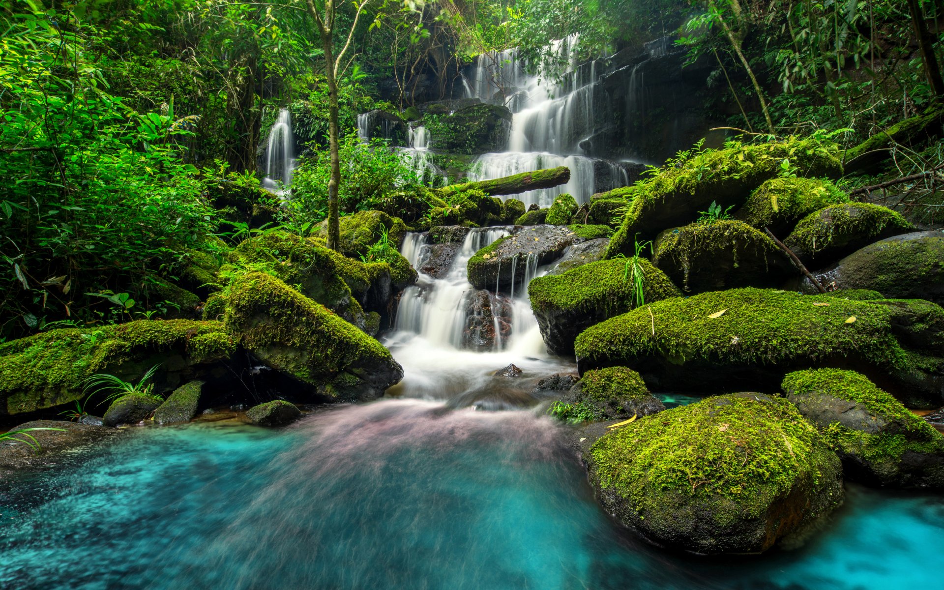 Free Download Beautiful Waterfall In Green Forest Wallpaper High Free Download Beautiful Waterfall In Green Forest Wallpaper High